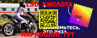 СК Обь