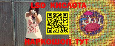 прущие грибы Новозыбков