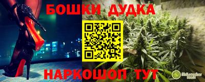 гашиш Новодвинск