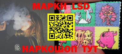 прущие грибы Новозыбков