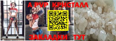 прущие грибы Новозыбков