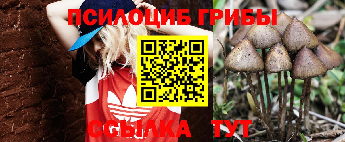 Галлюциногенные грибы MAGIC MUSHROOMS Сосновый Бор
