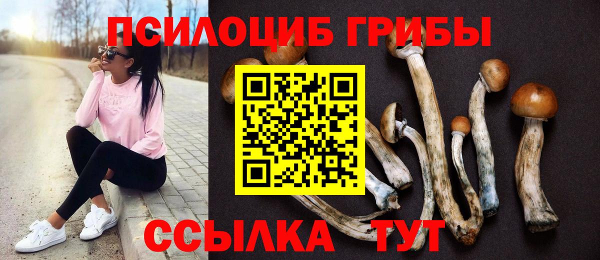 Сосновый Бор  Псилоцибиновые грибы GOLDEN TEACHER  Вход с VPN  Псилоцибиновые грибы Psilocybe 